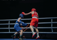 Ақнұр Тұрсынғали бокстан U19 Азия чемпионатының жартылай финалына өтті Ақнұр Тұрсынғали бокстан U19 Азия чемпионатының жартылай финалына өтті
